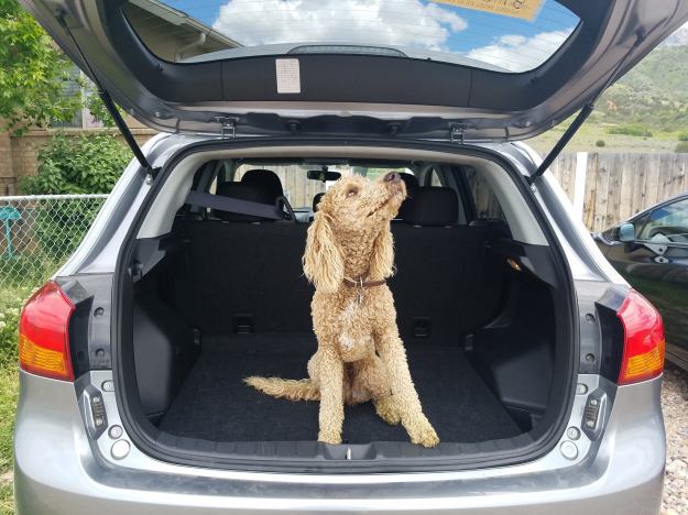 33091390_1706278546132912_2984304437318647808_o